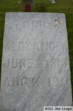 Albert Gale Alexander