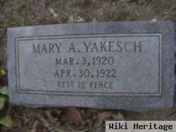 Mary A Yakesch