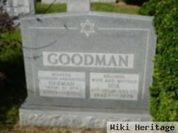 Herman Goodman