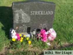 Lucy E York Strickland