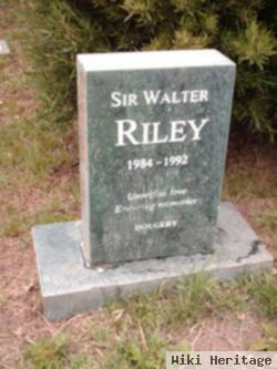 Sir Walter Riley Dougery