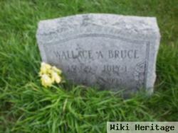 Wallace A. Bruce