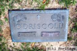 Angela S. O'driscoll