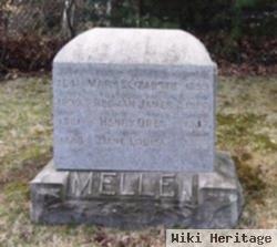 Henry Oren Mellen