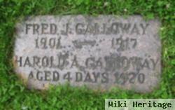 Harold Alva Galloway