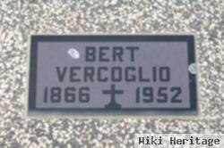 Bert Vercoglio