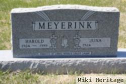 Harold Meyerink