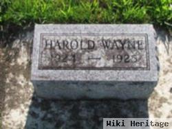 Harold Wayne Freese