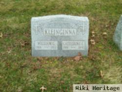 Catherine E Kleinginna