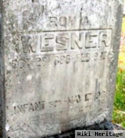 Infant Boy Wesner