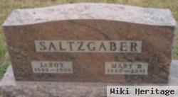 Leroy Saltzgaber