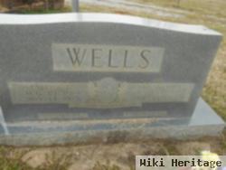 Patrick H Wells