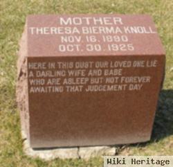 Theresa Bierma Knoll