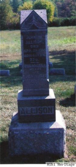 John Miller Allison