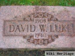 David W Luke