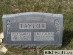 Joel Samuel Taylor