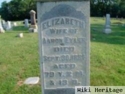 Elizabeth Wilkin Eyler