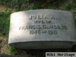 Julia A Morse