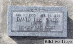 David Lee Walk