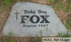 Baby Boy Fox