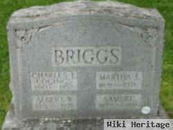 Albert W. Briggs