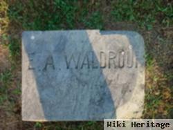 E. A. Waldroup