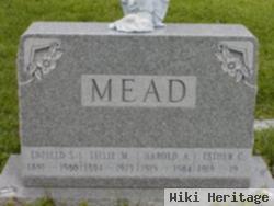 Enfield S Mead