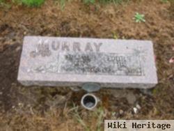 William J. Murray