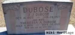 Theresa Ann Floyd Dubose