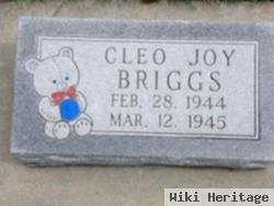 Cleo Joy Briggs