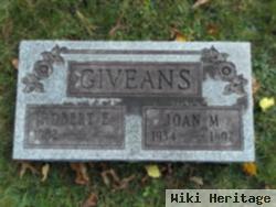 Robert E. Giveans