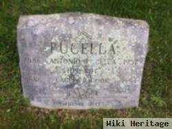 Laura B. Cook Pucella