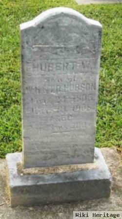 Hubert W Hobson