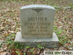 Alice Josephine Evans Foster