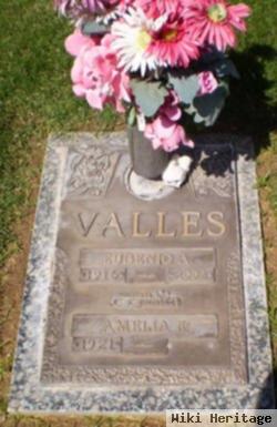 Amelia E. Valles