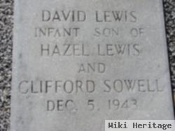 David Lewis Sowell