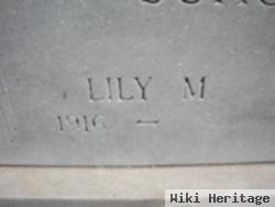 Lily Marie Mccabe Schoonover