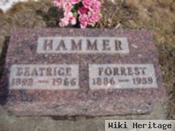 Forrest Hammer