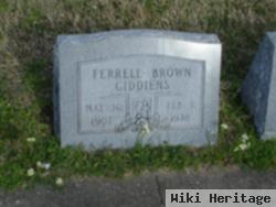 Ferrell Brown Giddiens