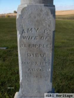 Amy C. Fenton Ripple