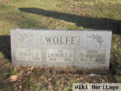 Robert E Wolfe