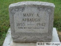 Mary A Williams Arbaugh