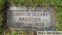 Elizabeth Frances Delaney Harroun