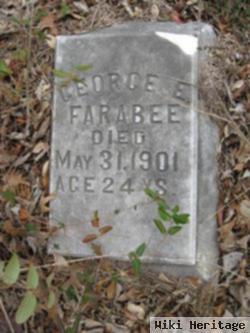 George E Farabee