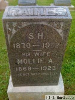 Mary A. "mollie" Wellington Raines