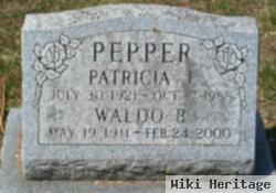 Patricia J Pepper