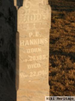 Perry Elkany Hankins