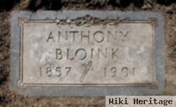 Anthony Bloink