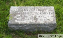 Elizabeth T Pokorney