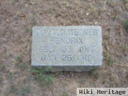 Donald Weaver Hendrix